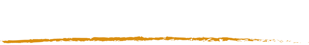 ただソレ株式会社